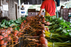 Oxbow Farm & Conservation Center