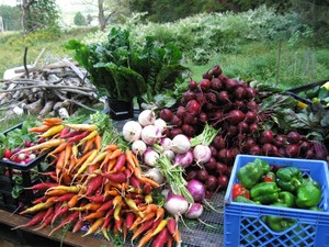 Spring Meadows Farm