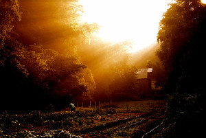 A Place of the Heart Farm