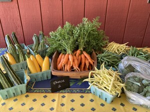 Mon Soleil Market Garden