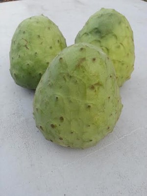 Rick's Seasonal Produce