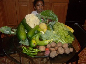 Organic Ecstasy Gardens