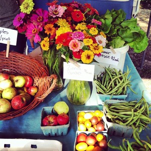 Cary Downtown Farmers Market