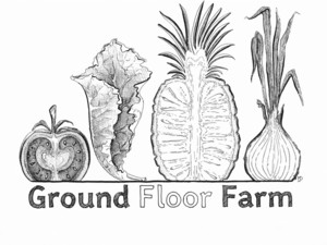 Ground Floor Farm