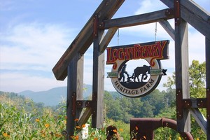 LoganBerry Heritage Farm
