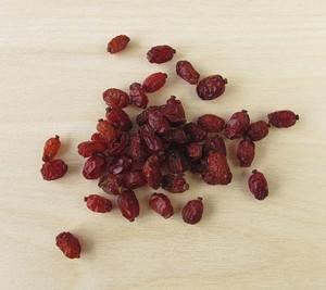 Northwest Wild Foods