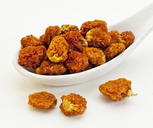Northwest Wild Foods