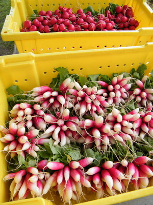 Pine Fork Farm