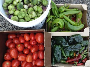 Full Cellar Farm