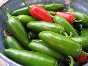 Caliente Acres
