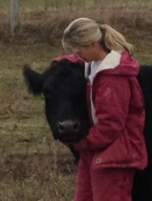 Oak Row Angus Cattle