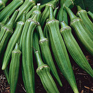 Home Farm Herbery LLC