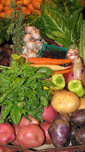 Metzger Farms