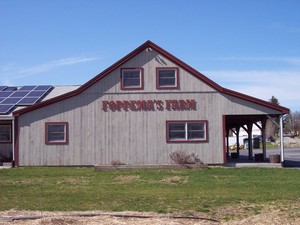 Foppema's Farm