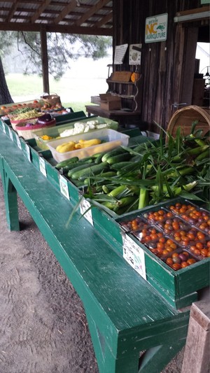 Hilltop Farms