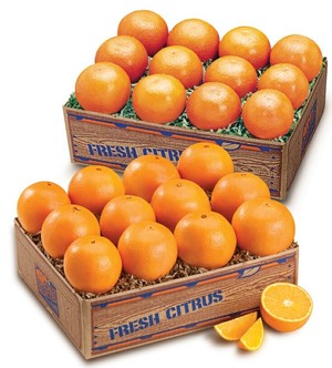The Orange Shop
