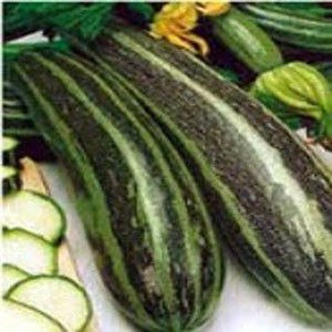Home Farm Herbery LLC