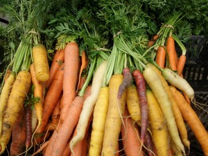 Monarch Farm