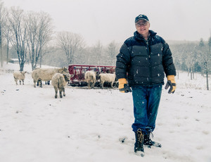 Rocky Meadow Farm