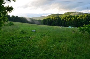 Underline Farm