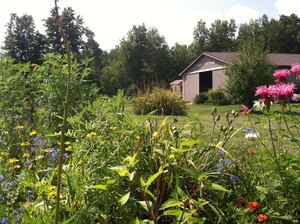 Sweet Tea Farm