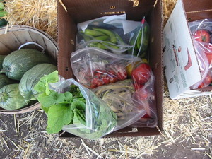 The Farmers Garden