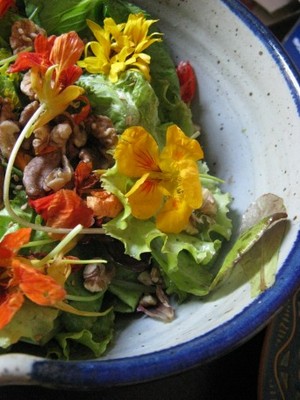 Madison Area Growers CSA