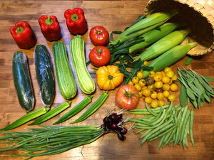 Markwood Acres