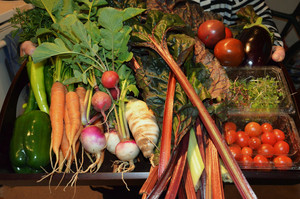 Virginia Vegetable Company