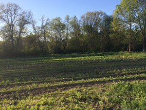 New Harmony Farm CSA, LLC