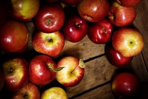 Lapacek's Orchard