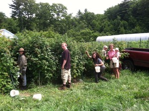 Many Hands Organic Farm