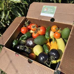 Jana Farms