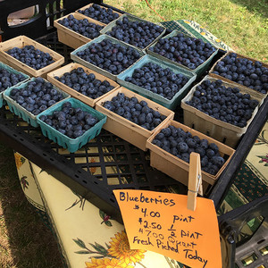 Canterbury Community Farmers Market