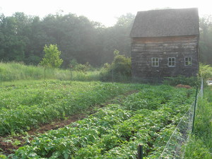 Green Arrow Farm