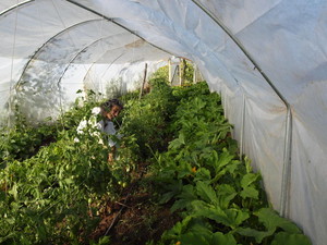 Infinity Farm