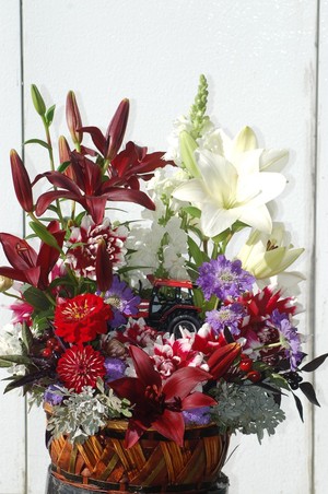 Black Dog Flower Farm