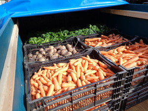 Second Spring Farm