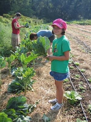 Spoutwood Farm CSA