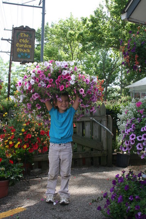the olde garden shack