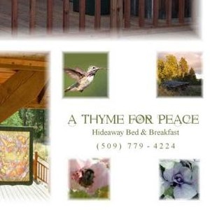 A Thyme For Peace
