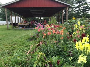 New Brunswick Community Farmers Market