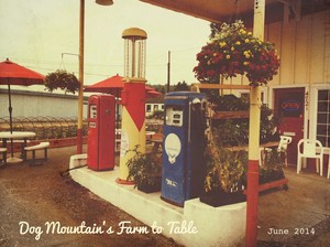 Dog Mountain's Farm to Table