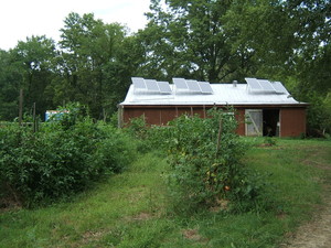 Wrocklage Run Farm