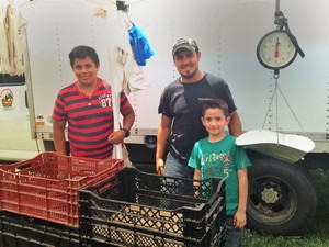 Gaithersburg Fulks Corner Farmers Market