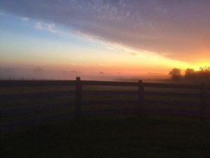Hawkins Farms