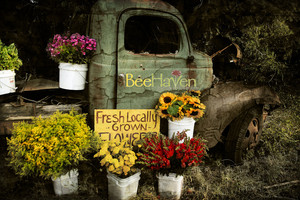 BeeHaven Farm