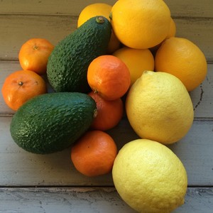 Fairview Orchards