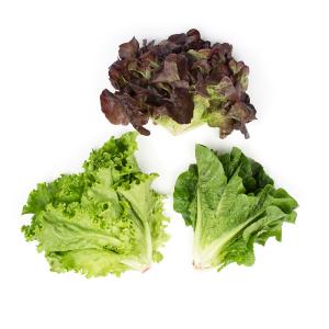 Harvest Tide Organics