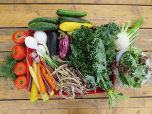 Root 5 Farm